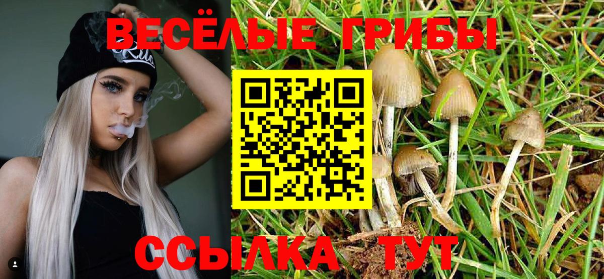 Псилоцибиновые грибы мухоморы Городец