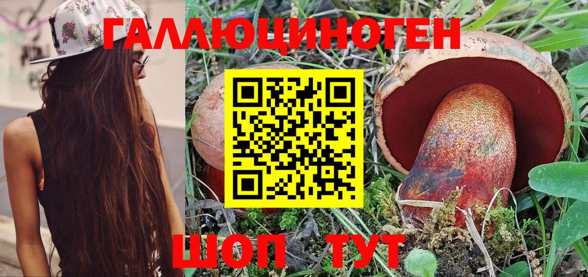Галлюциногенные грибы GOLDEN TEACHER  Галлюциногенные грибы Cubensis  Городец  Вход с VPN 